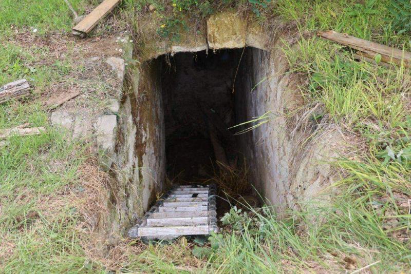 Egy ló, akit a sors kegyetlenül megfosztott az élelem és víz örömétől, a pincében találta végső nyugalmát. Az életét megkeserítő éhség és szomjúság lassan, de biztosan elvették tőle a reményt, míg végül a sötét helyiségben, a magány és a fájdalom fogságáb