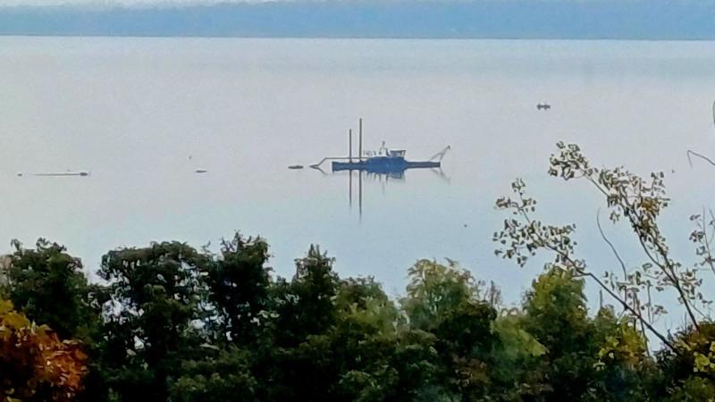 A Balaton partját elözönlötték a kotrógépek, és ez az indok, amiért gőzerővel látnak hozzá a munkához!