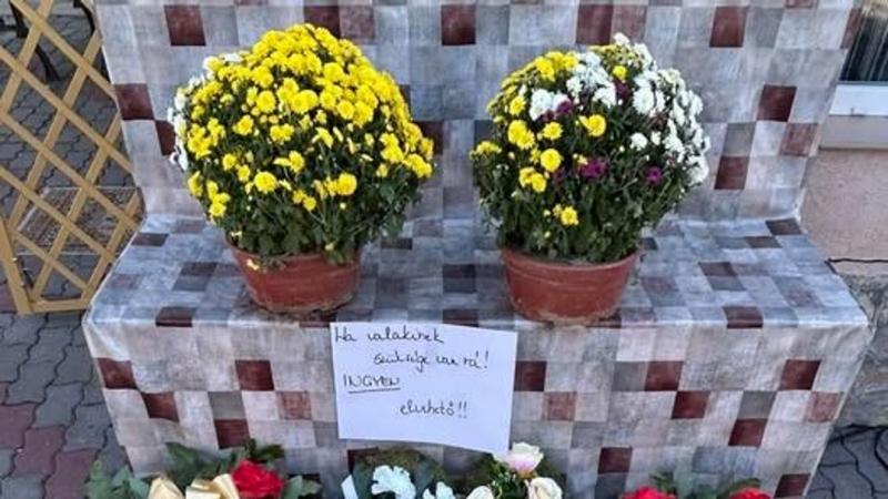 Érzelmes meglepetés Mindenszentek napján: ezekben az üzletekben ingyenesen kínálják a virágokat.