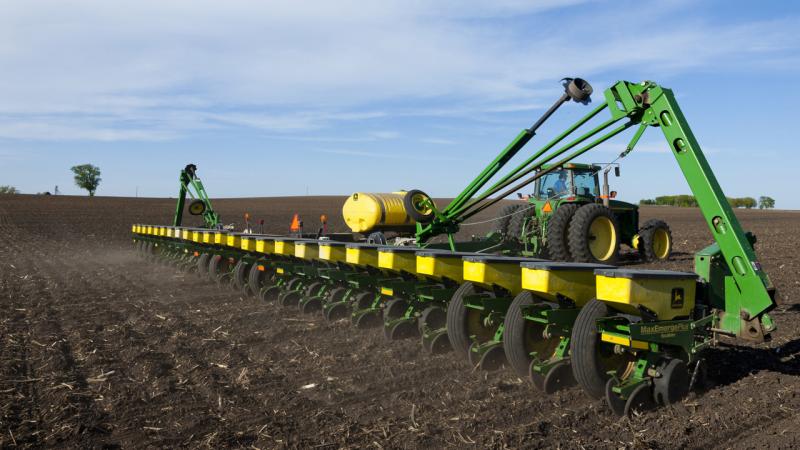 Ez a növény lehet Magyarország jövőbeli győztese.