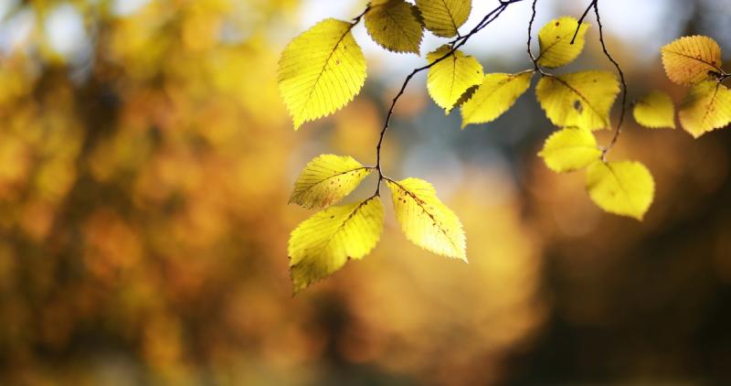 Heti időjárás-előrejelzés: Megérkezik a hűvösebb időjárás!