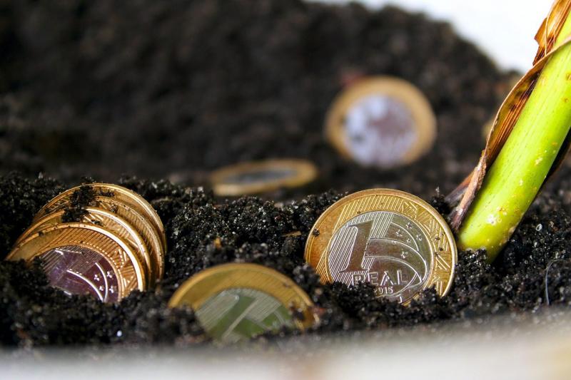 Valóban véget érnek az uniós agrártámogatások? - Magyar Mezőgazdaság