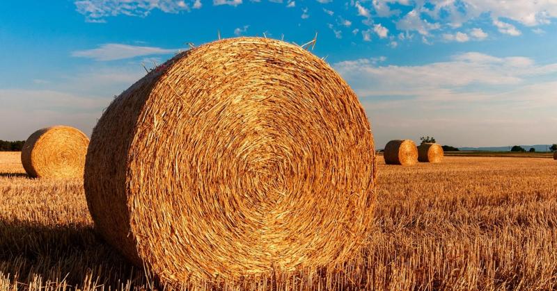 Olyan váratlan irányt vesz az időjárás, amire senki sem készülhetett fel.