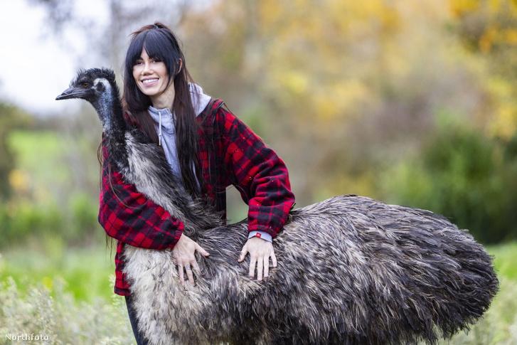 A család különleges házikedvence egy lenyűgöző méretű madár, aki mindig felhívja magára a figyelmet.